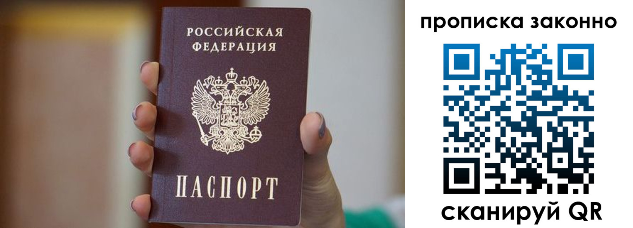 прописка в Ярославской области